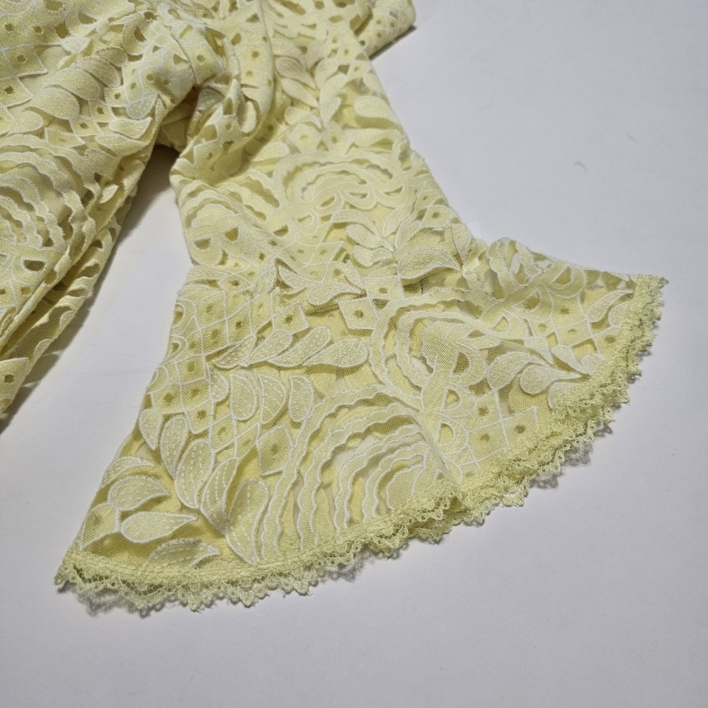 Anthropologie Rabbit  Rabbit Rabbit Lace Fit Flare Overlay Cottagecore Dress S - Picture 6 of 8